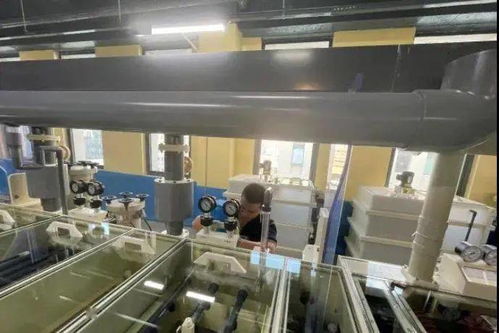 产业快讯 百宏集团BOPET新线投产，光莆股份5G柔性材料项目试产